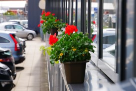 Iniciatyva "Žydim"-6