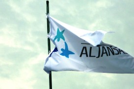 Vasaros šventė 2014-11