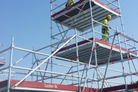 PIRMASIS TARPTAUTINIS PASTOLININKŲ ČEMPIONATAS-1